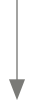 2 px wide grey vertical line with arrow 100px high